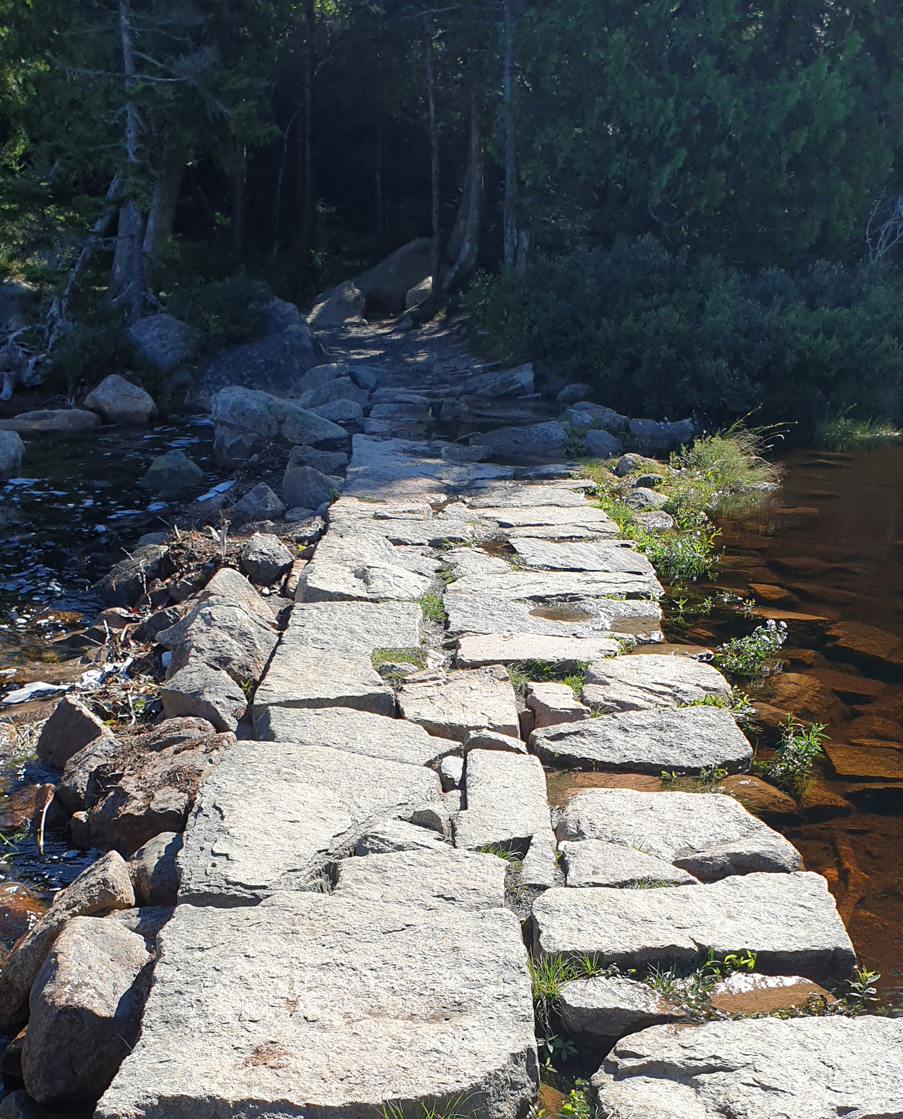 El camino de la meditación no  es suave a veces encontramos senderos difíciles o casi imposibles de transitar, y tenemos que recorrerlos en soledad.  